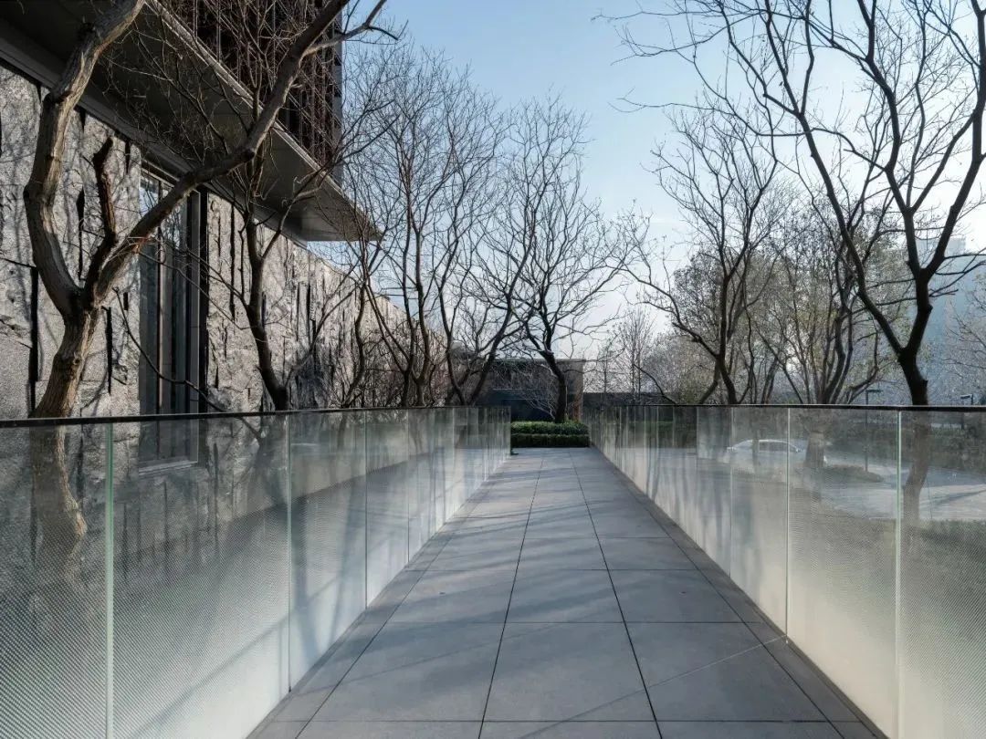 园路列植设计丨上景总工办-67