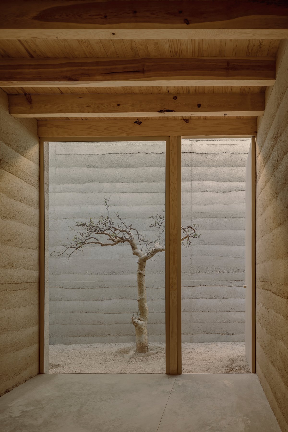 Cabo 体育中心丨墨西哥丨Taller Hector Barroso-8