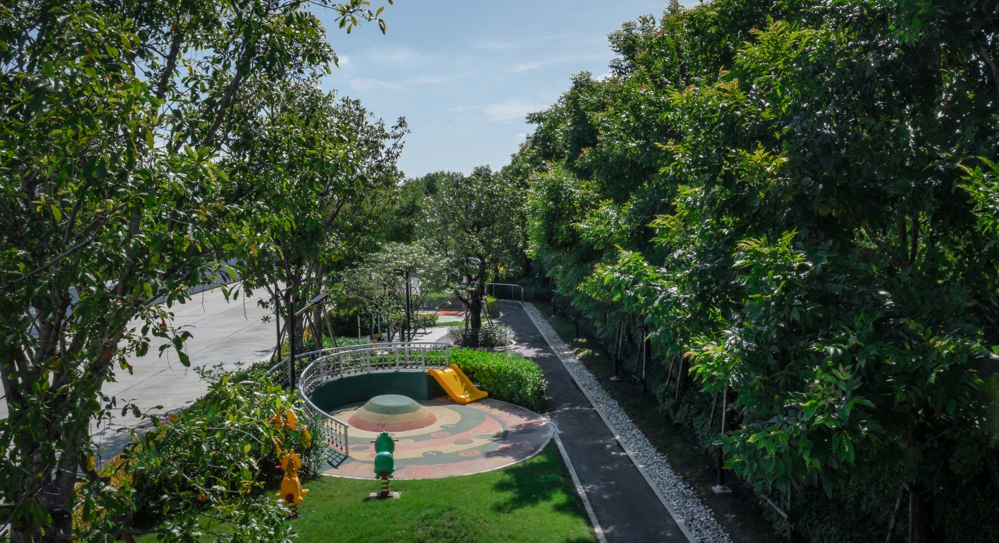 川春镇兰实空 3 区丨泰国巴吞他尼-15