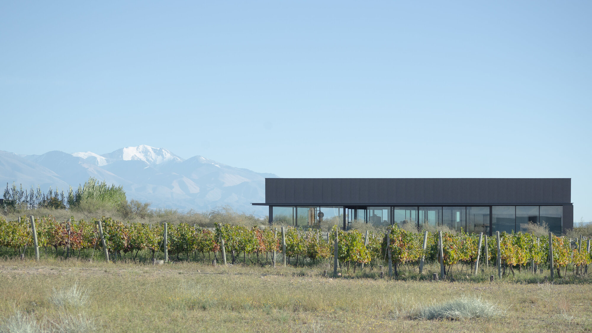 桑托斯烈酒酿酒厂丨阿根廷丨Valeria Moreno-37