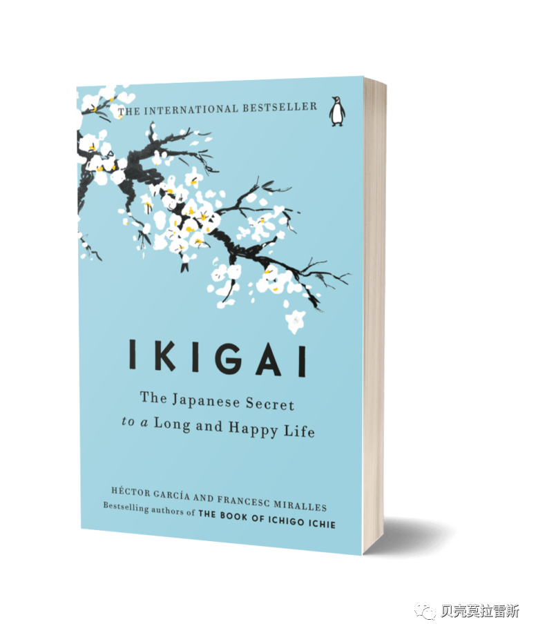 Ikigai 理念下的温馨家居设计-0