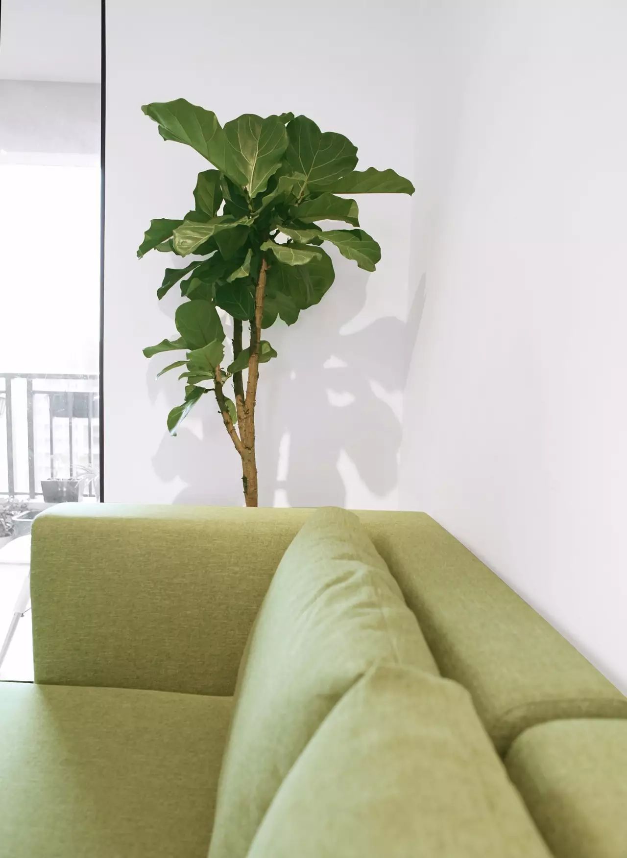 喜欢你/就像喜欢一件白衬衫-26