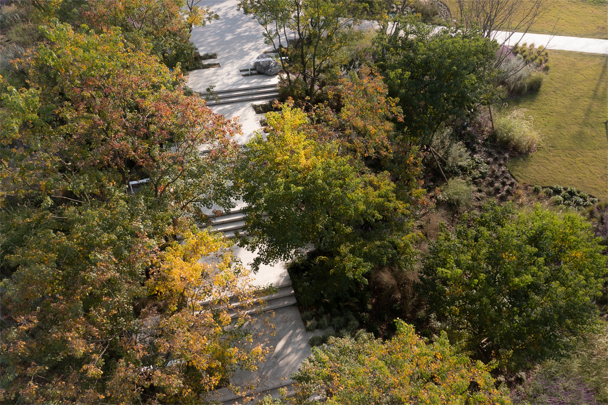 成都兴隆湖·湖畔森林图书馆丨中国成都丨昱道景观-62