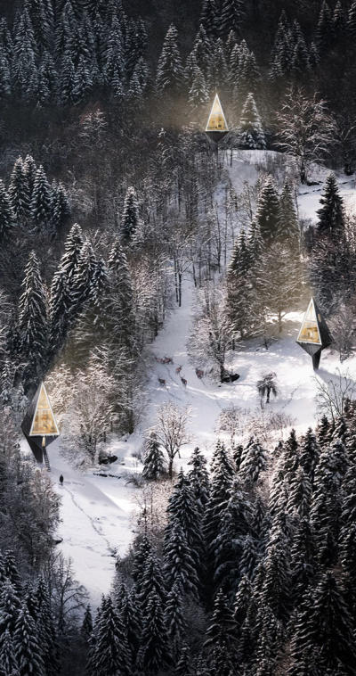 Residências ecológicas situadas em florestas  | Arquitêta-12