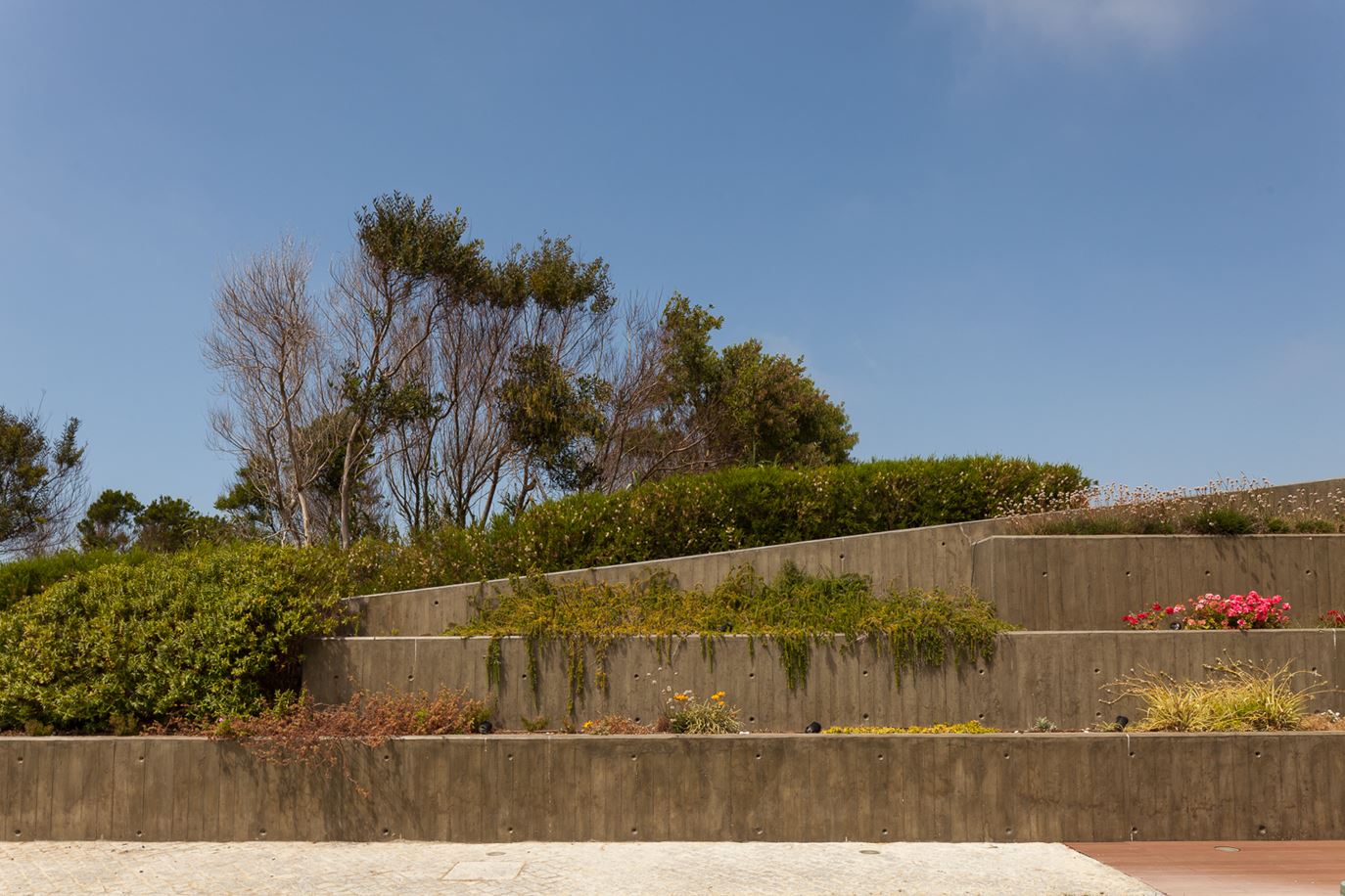 大沙滩上的房子-20