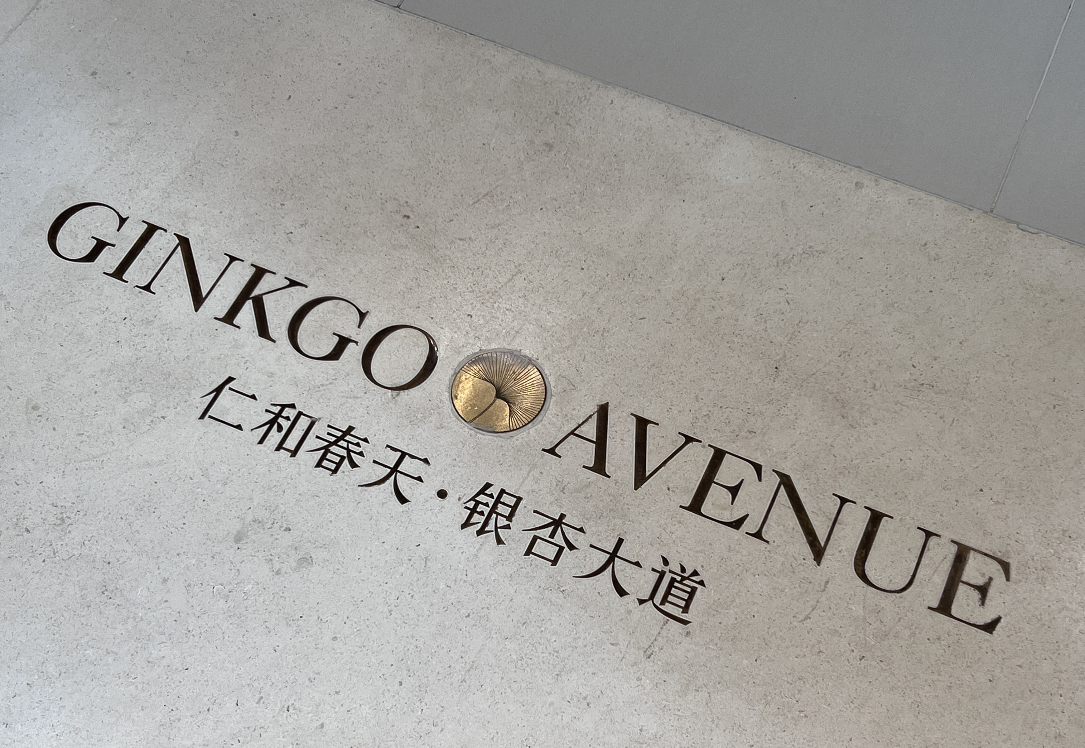 成都仁和春天银杏大道-9