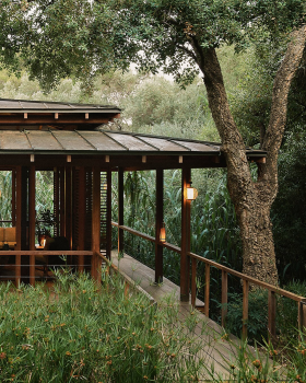 自然中的静谧沉思