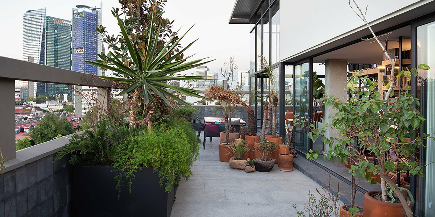 墨西哥现代顶层公寓，国际风格与自然景观完美融合-20