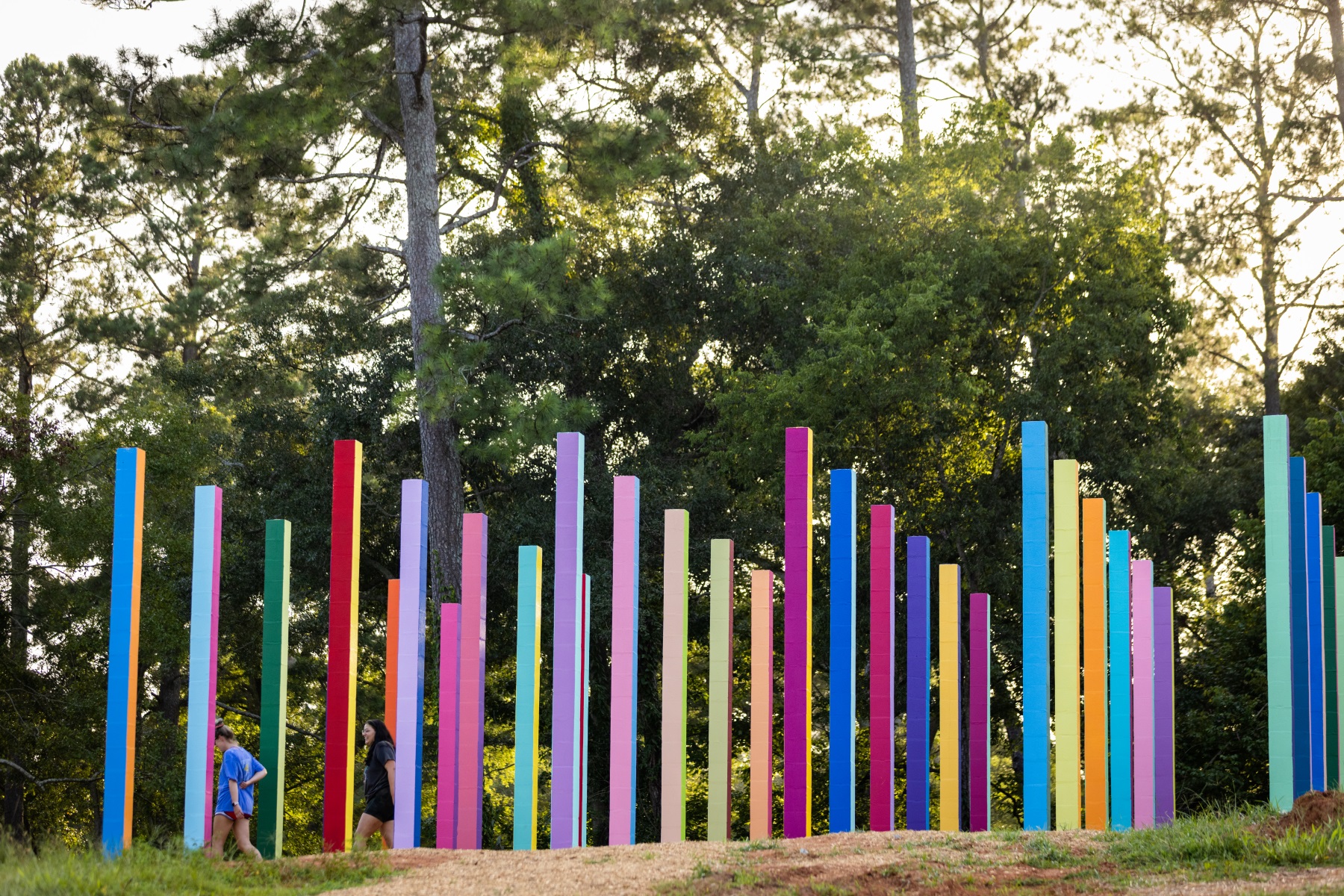 彩虹森林丨美国丨Office Kovacs-64