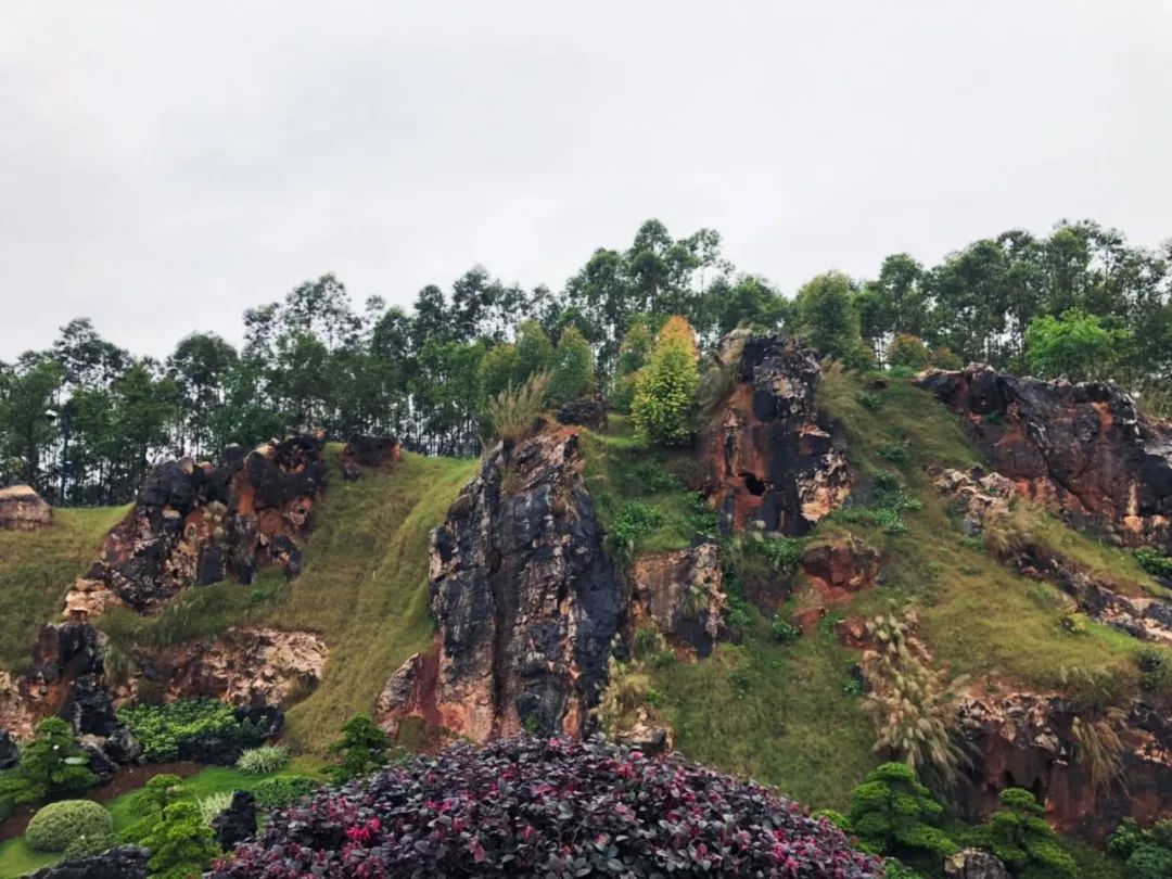 南宁罗汉松园 | 写意山水与天人合一的现代园林-37