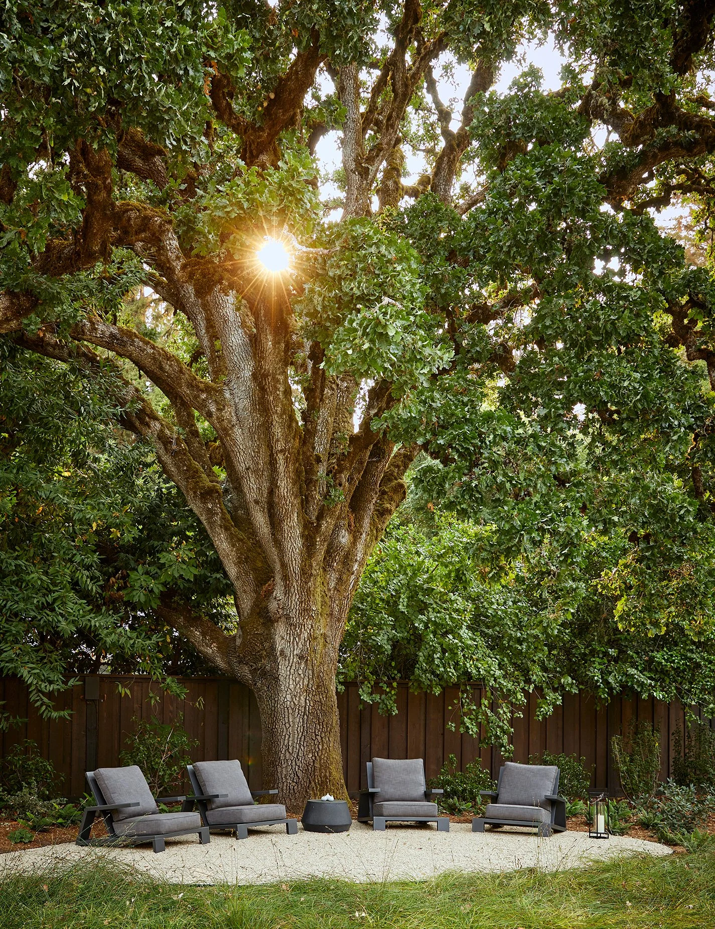 丨美国加利福尼亚丨Arcanum Architecture-9