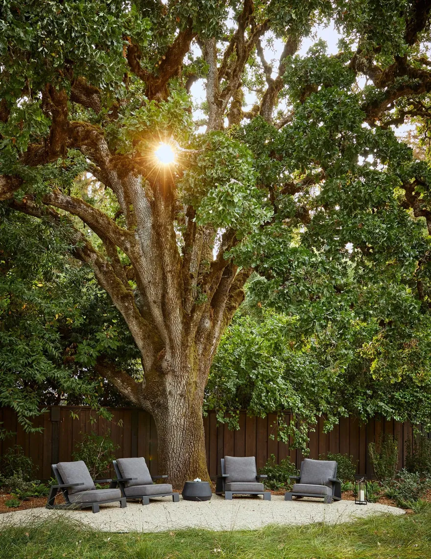 丨美国加利福尼亚丨Arcanum Architecture-9