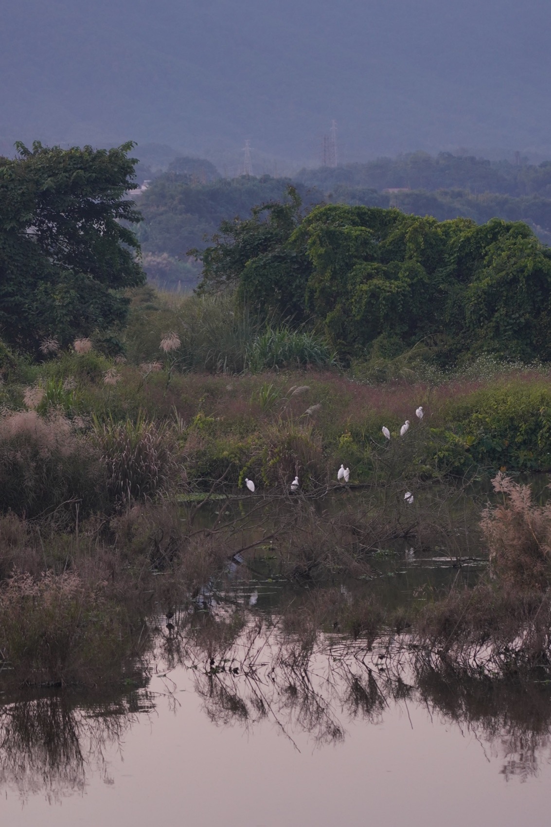 桂头镇湿地公园（桂头镇街文化公园）丨中国韶关丨有限设计工作室-144