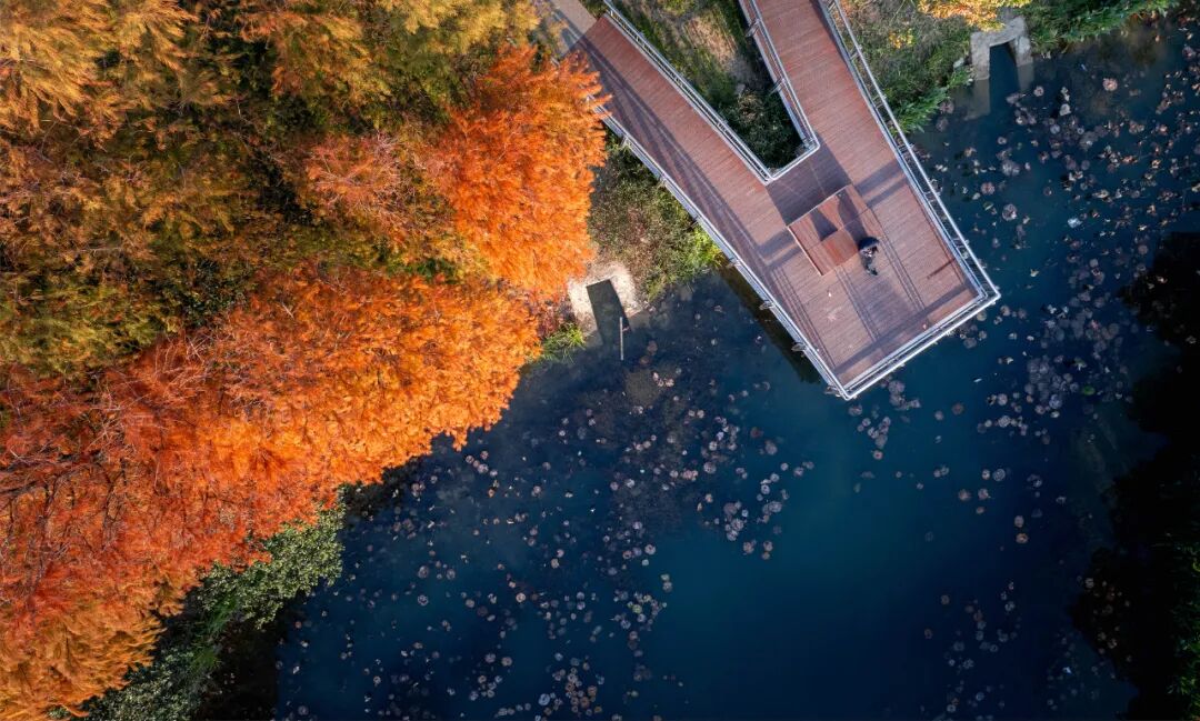 HEZHAN｜水韵苏安，绿谷客厅——苏安河滨水公园-22