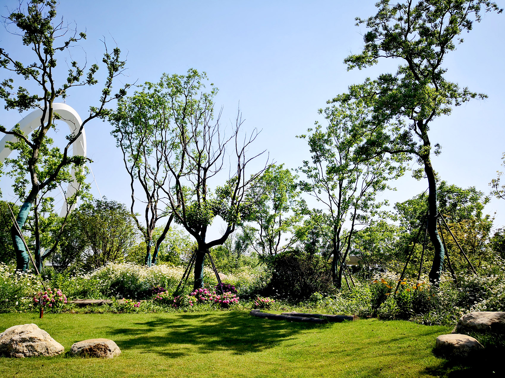 新加坡·南京生态科技岛-83