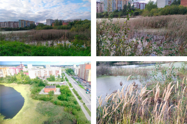 Цыганское（Тихое）湖整治与“湖边之家”住宅项目丨俄罗斯秋明-27