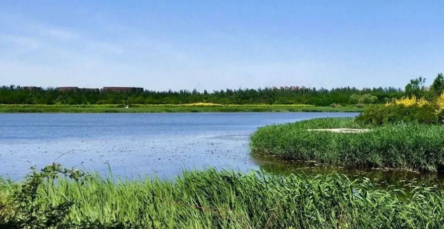 乡村文旅项目设计丨秋凌景观-75