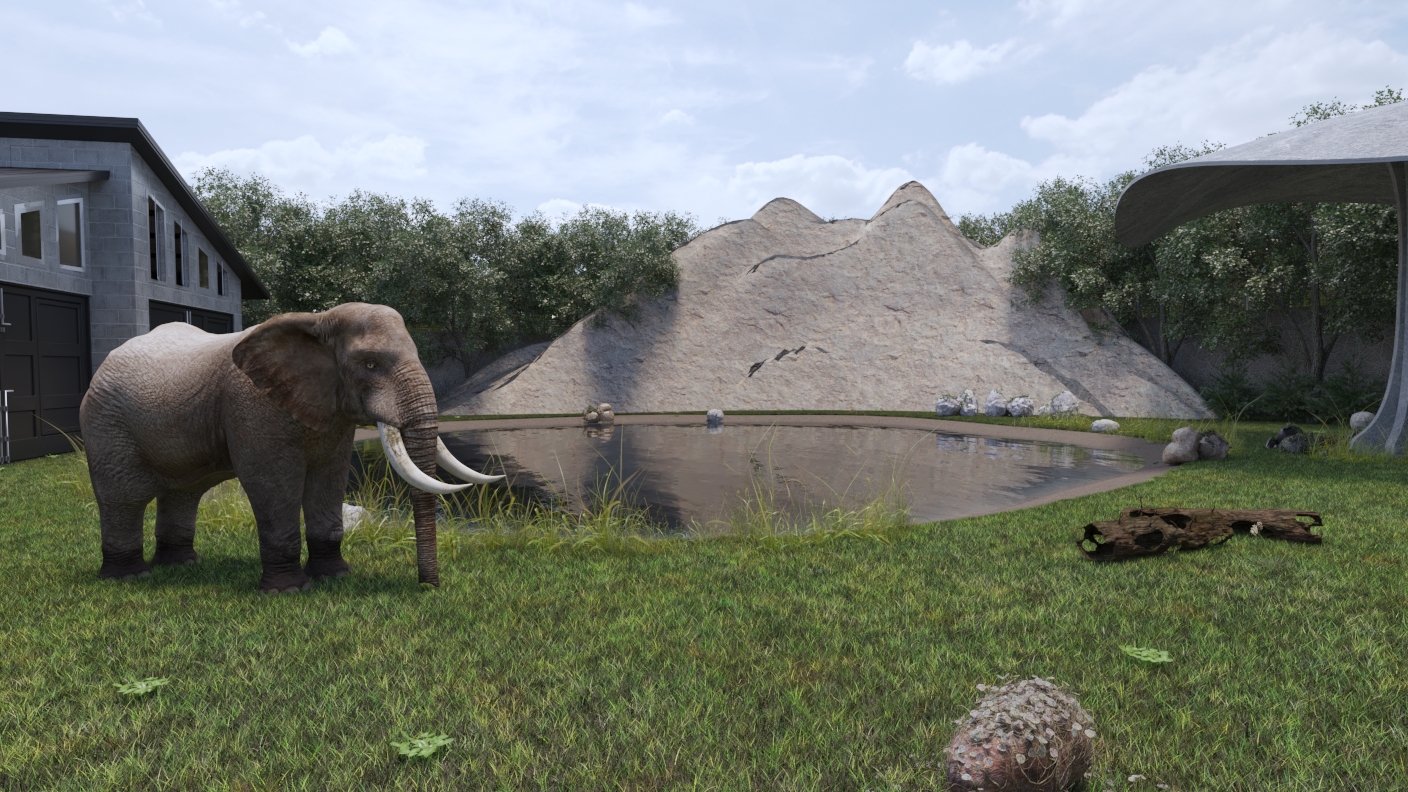 Elephant House Giza Zoo 2022-3