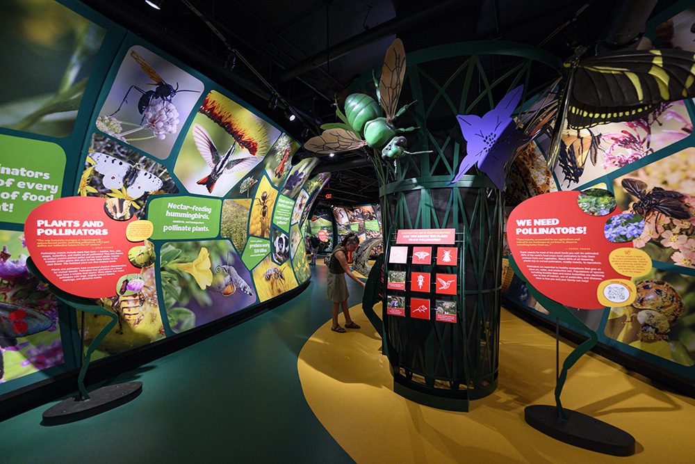 Crystalline volume added to Audubon Aquarium and Insectarium in New Orleans | CambridgeSeven-3