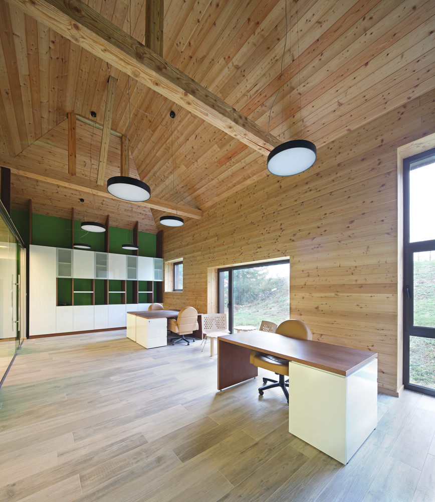 小宅大院，绿意盎然-13