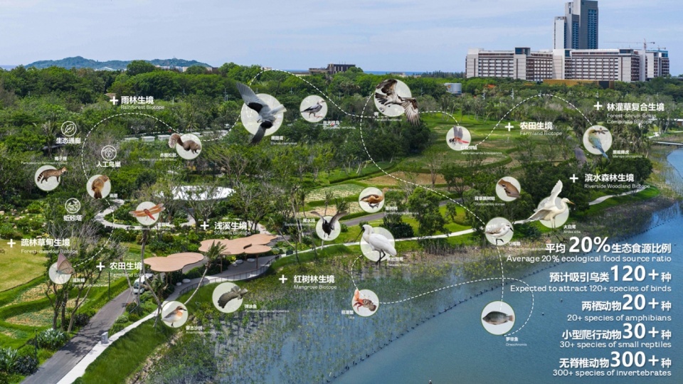 海棠河生态公园二期景观设计丨中国三亚丨LOLA Landscape Architects-77