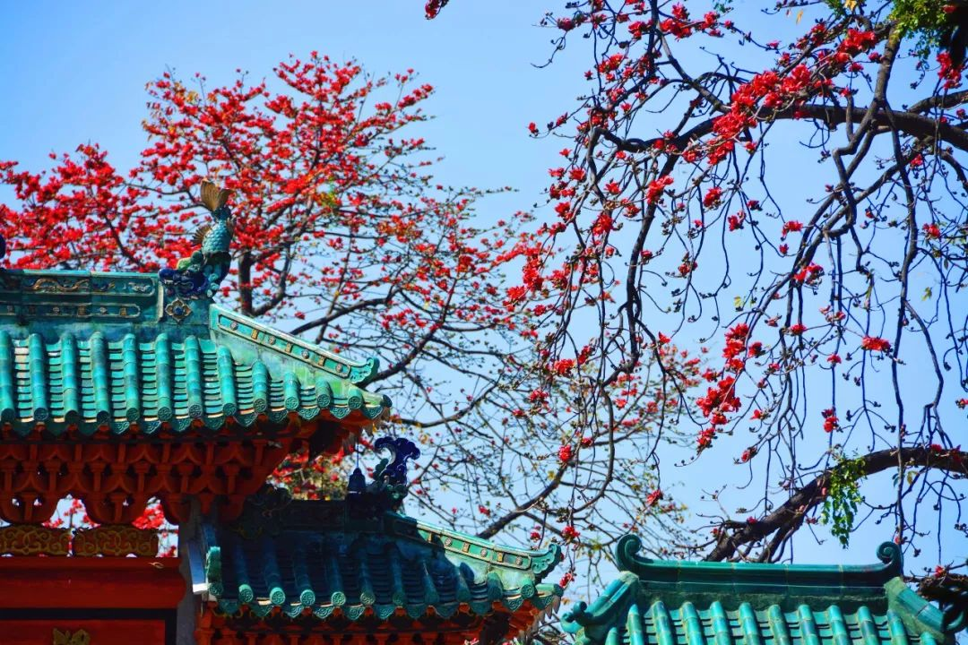 广州大桥底公厕焕新丨中国广州丨广州市建筑集团有限公司-15