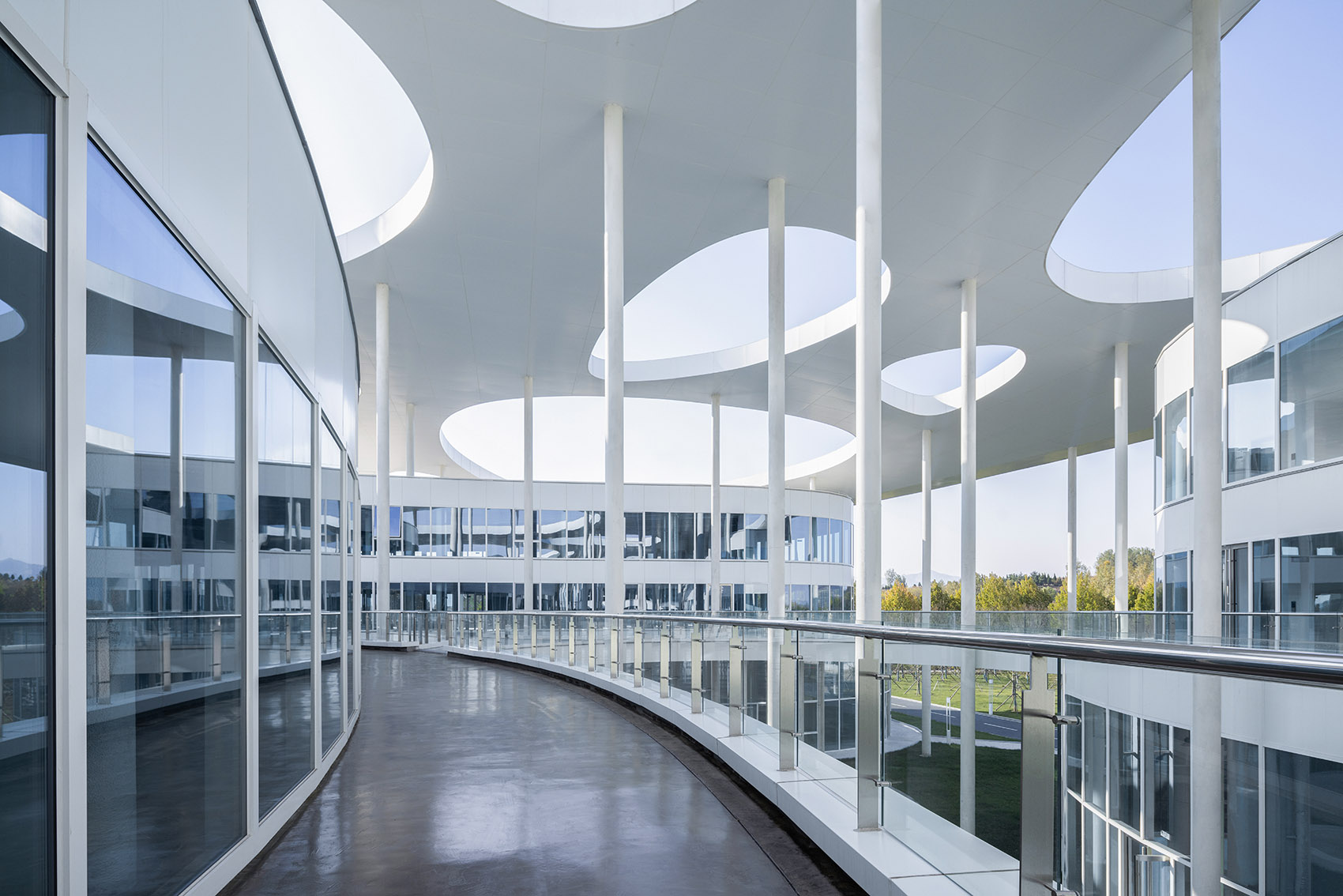 日照茶叶科创示范园丨中国日照丨孔祥伟工作室-43