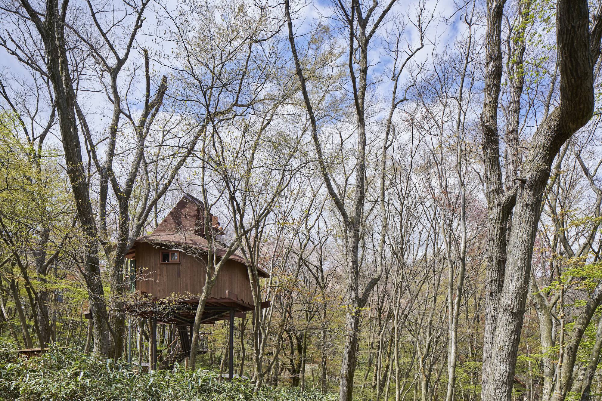 火山上的树屋丨日本丨Hiroshi Nakamura & NAP-26