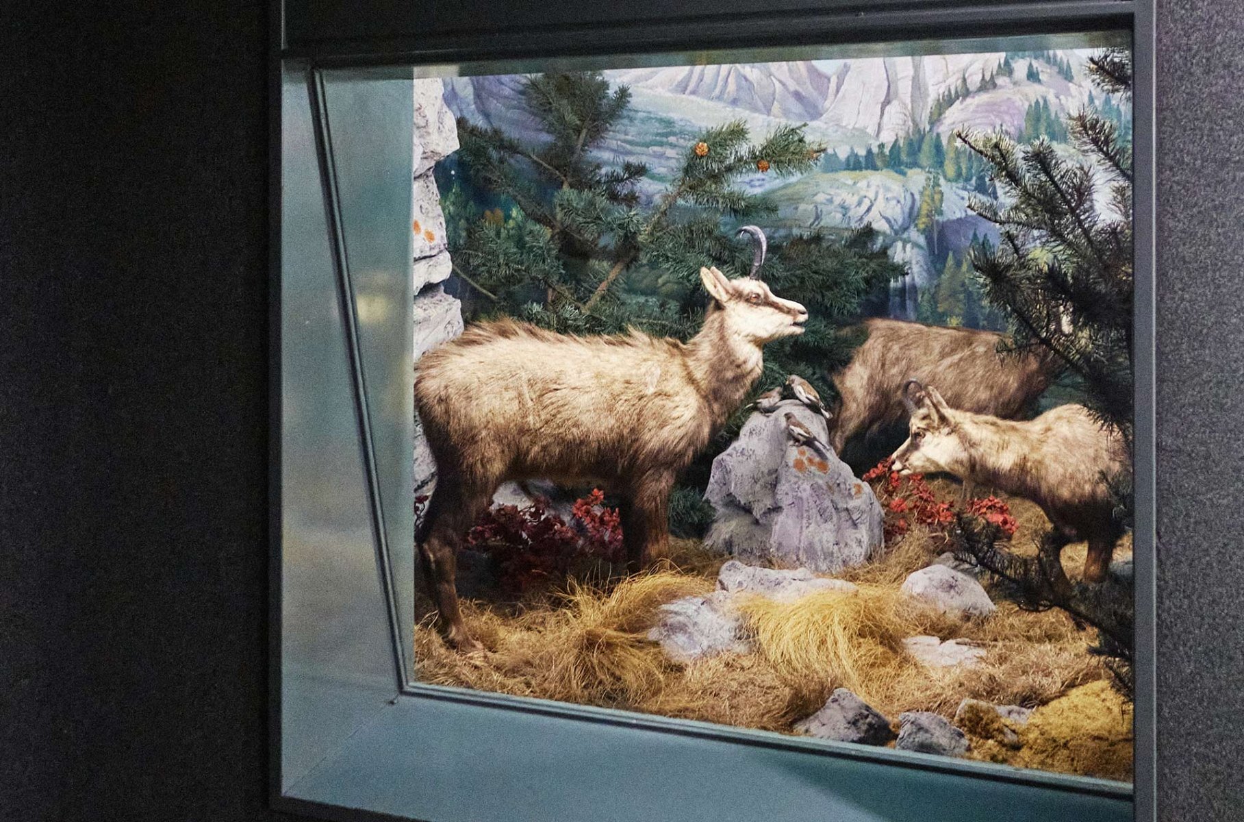 STEDELIJK MUSEUM EXHIBITS FORM丨意大利丨意大利设计工作室-31