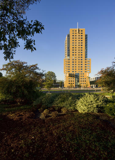 法罗斯（埃及亚历山大港外的一个岛名，岛上曾建有著名的灯塔）丨Liesbeth van der Pol及其团队-23