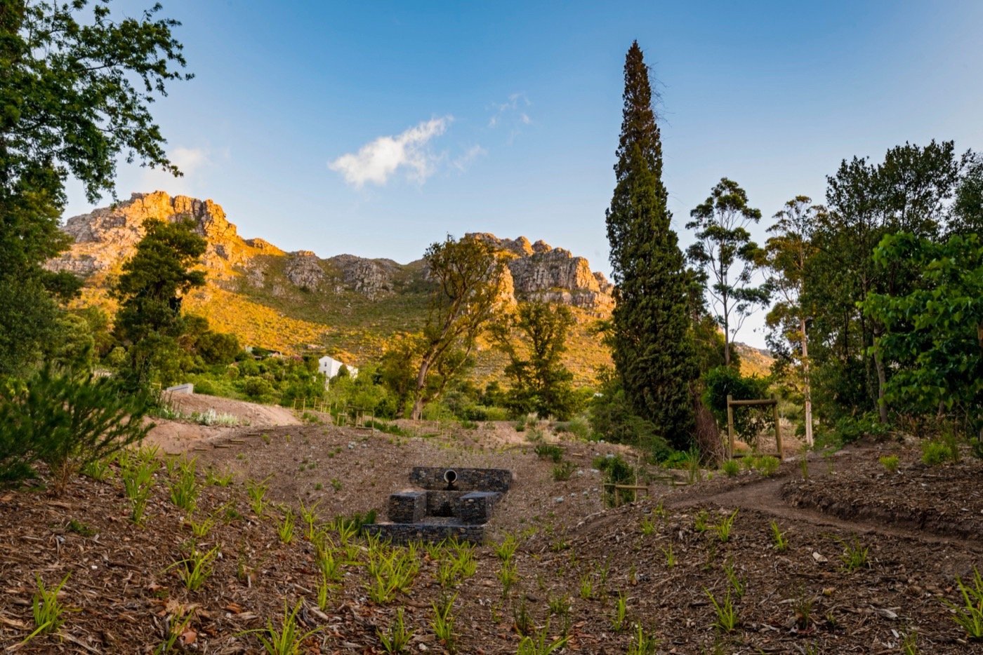 南非阿普尔加思庄园-20