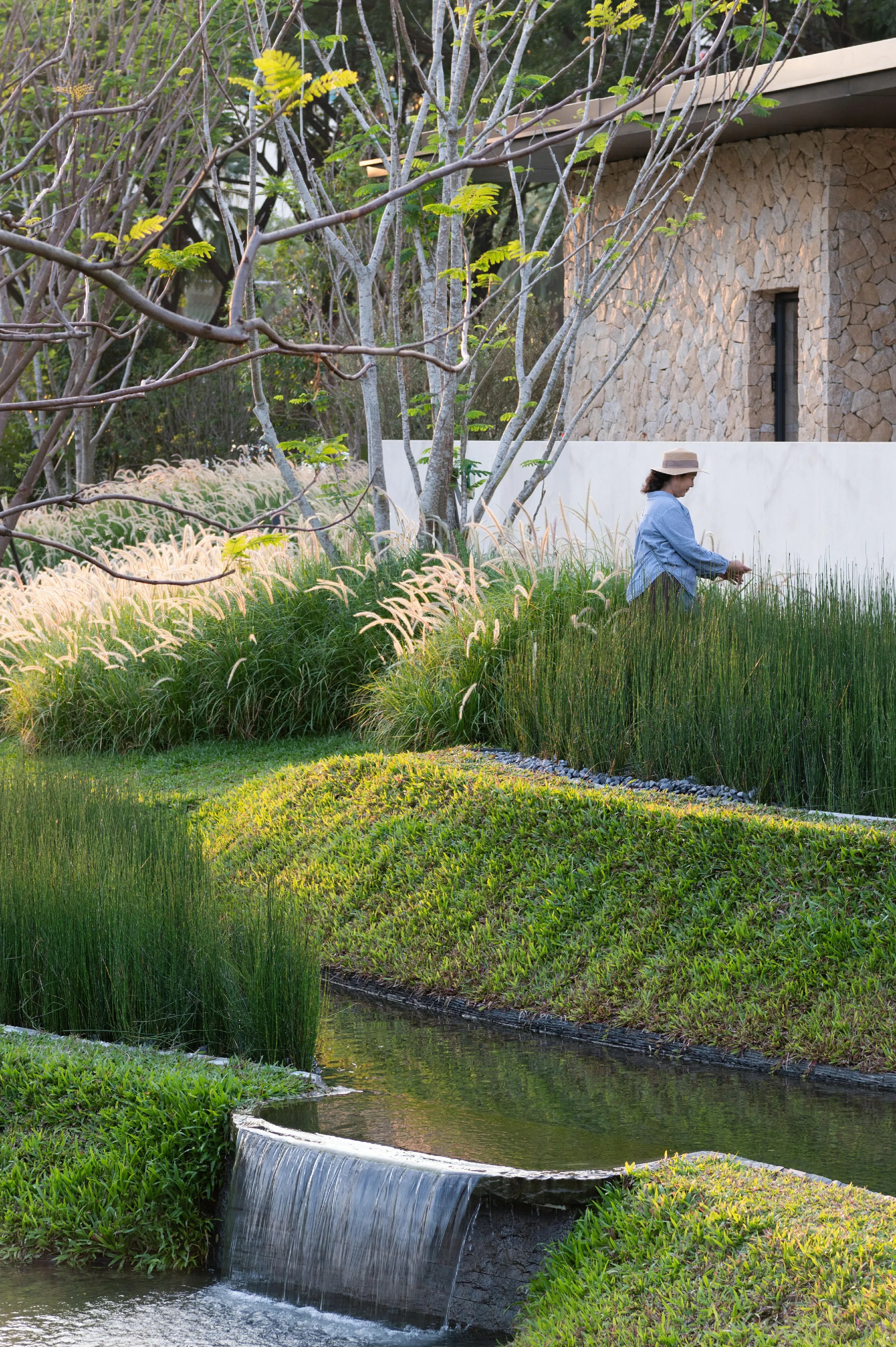 三亚观岚花园:田园理想,自然作画丨中国三亚丨Z’scape致舍景观-47