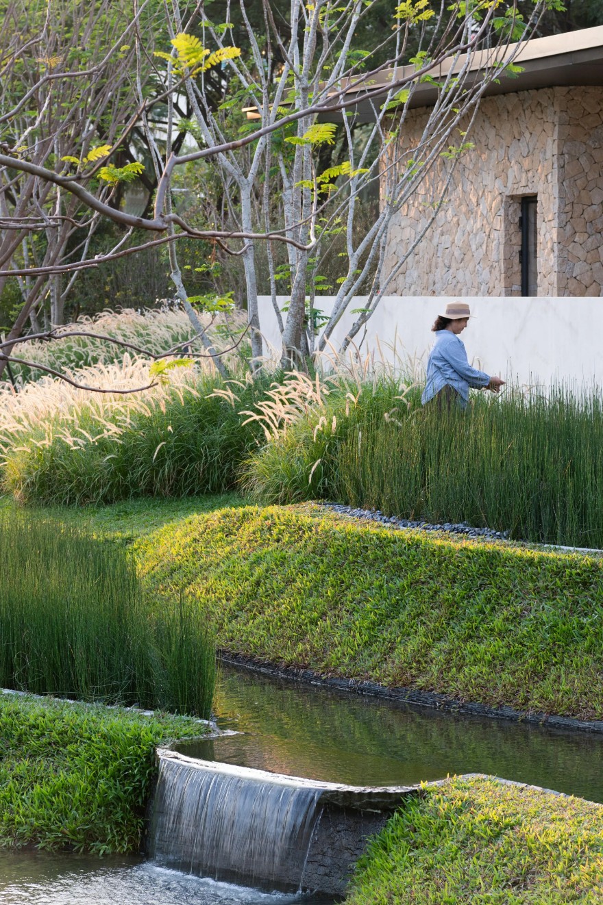 三亚观岚花园:田园理想,自然作画丨中国三亚丨Z’scape致舍景观-47