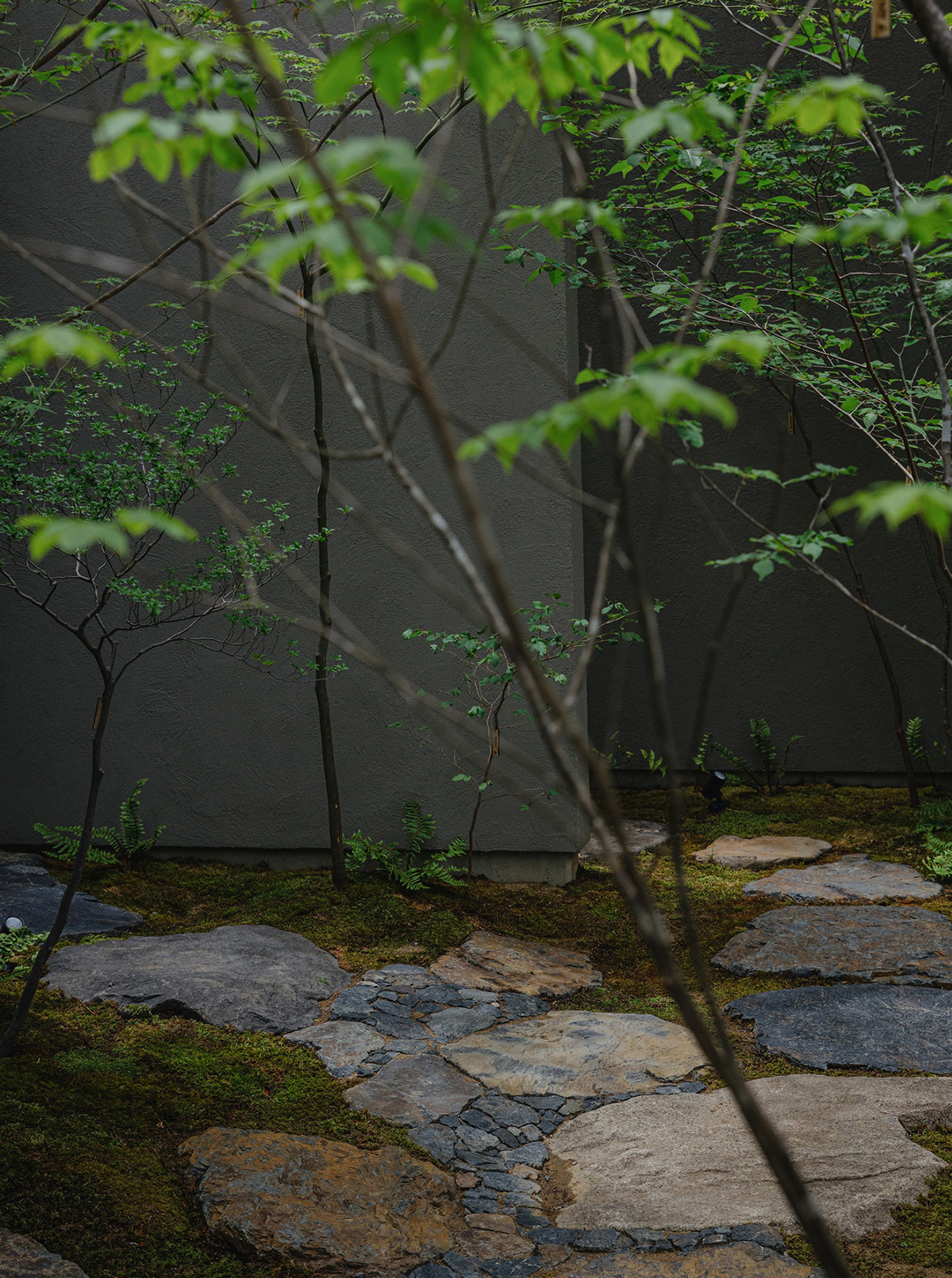 长野之家丨日本长野丨Tomoko Fukayama,熊谷隆-28