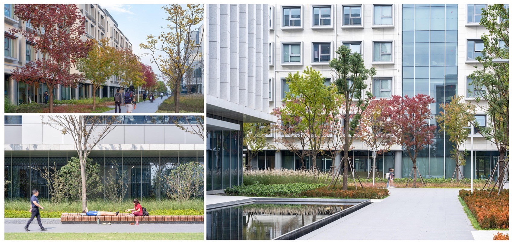 链接时间与空间的流动边界:昆山杜克大学14年生态景观设计丨中国江苏丨Futurepolis未来都市-69