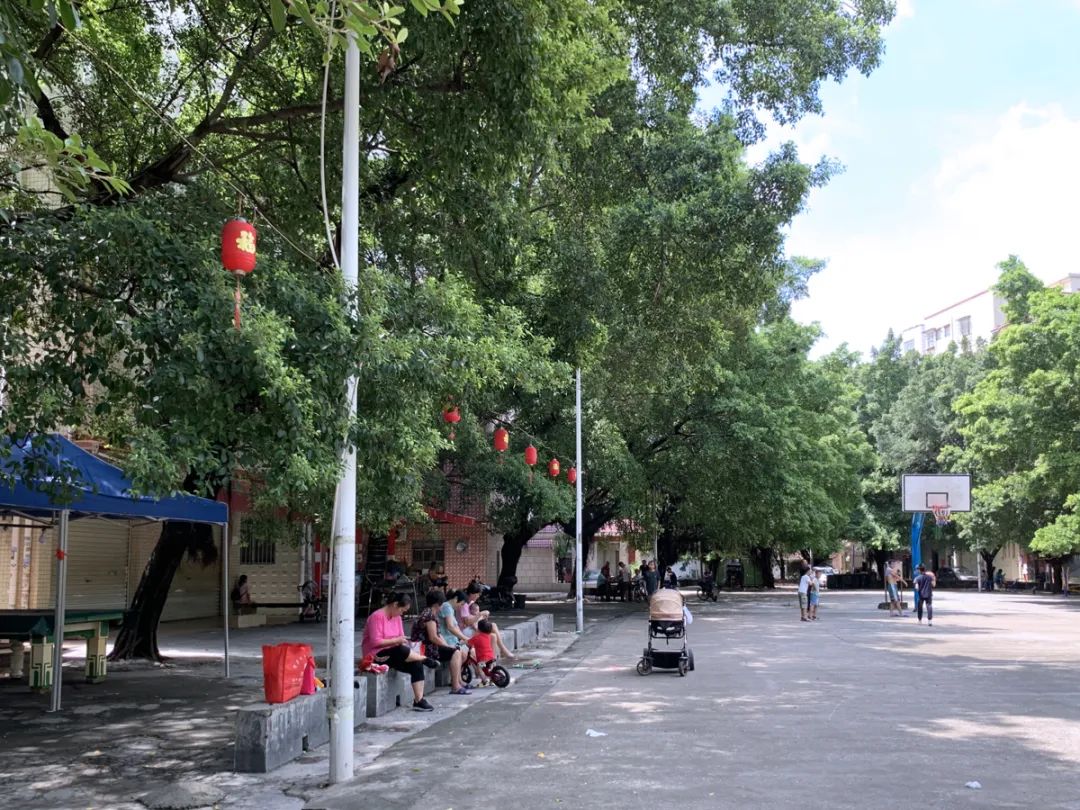 大朗党群文化广场及周边整治工程丨中国广州丨东大(深圳)设计有限公司-17