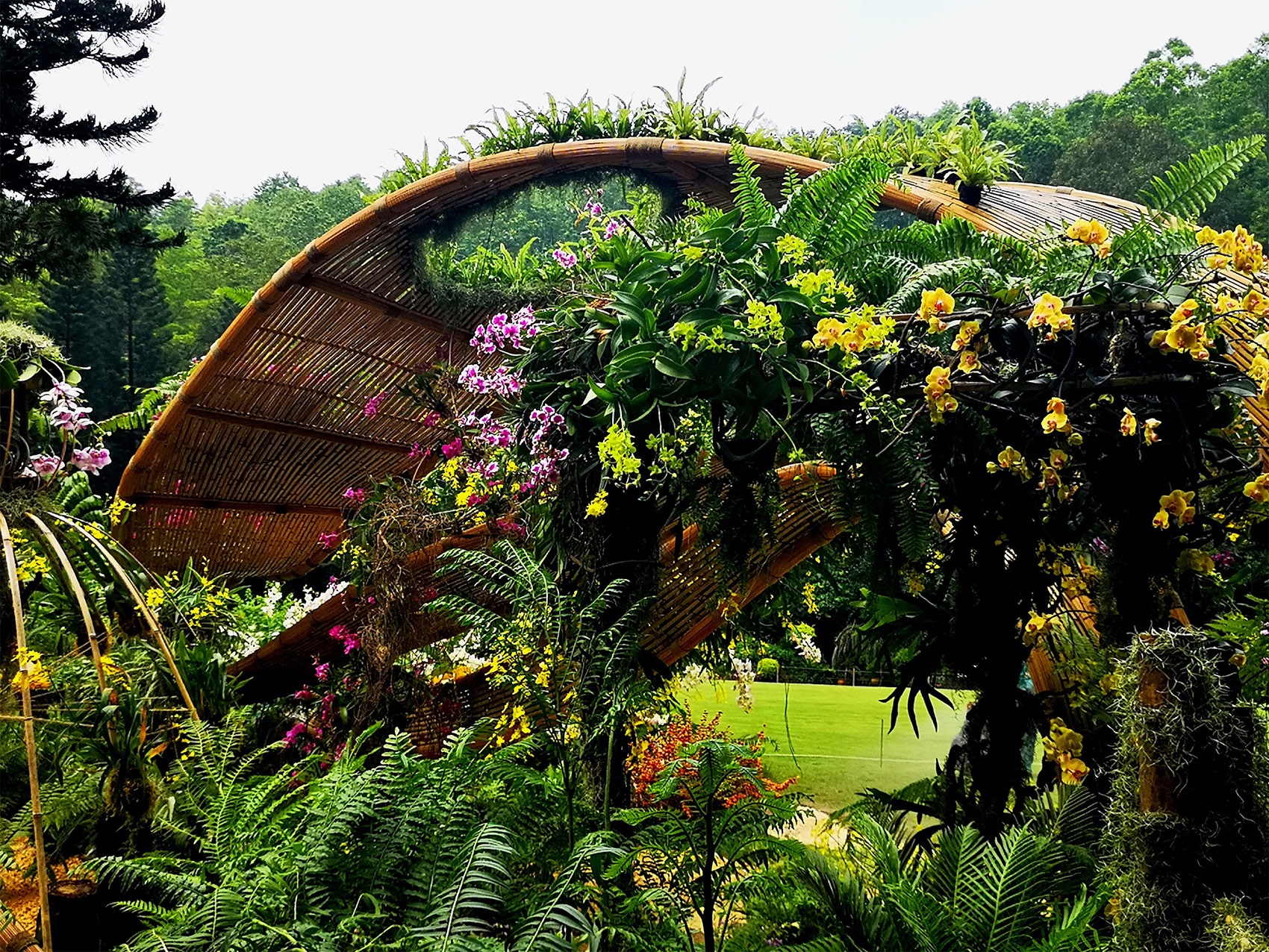 深圳 “种子”现代竹编装置-73