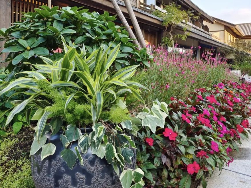 融创藏马山阿朵小镇丨中国青岛丨hi3阖时设计-28