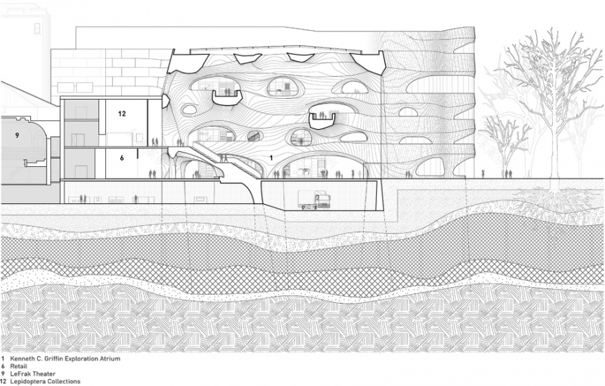 纽约理查德·吉尔德科学中心丨美国纽约丨Studio Gang-112