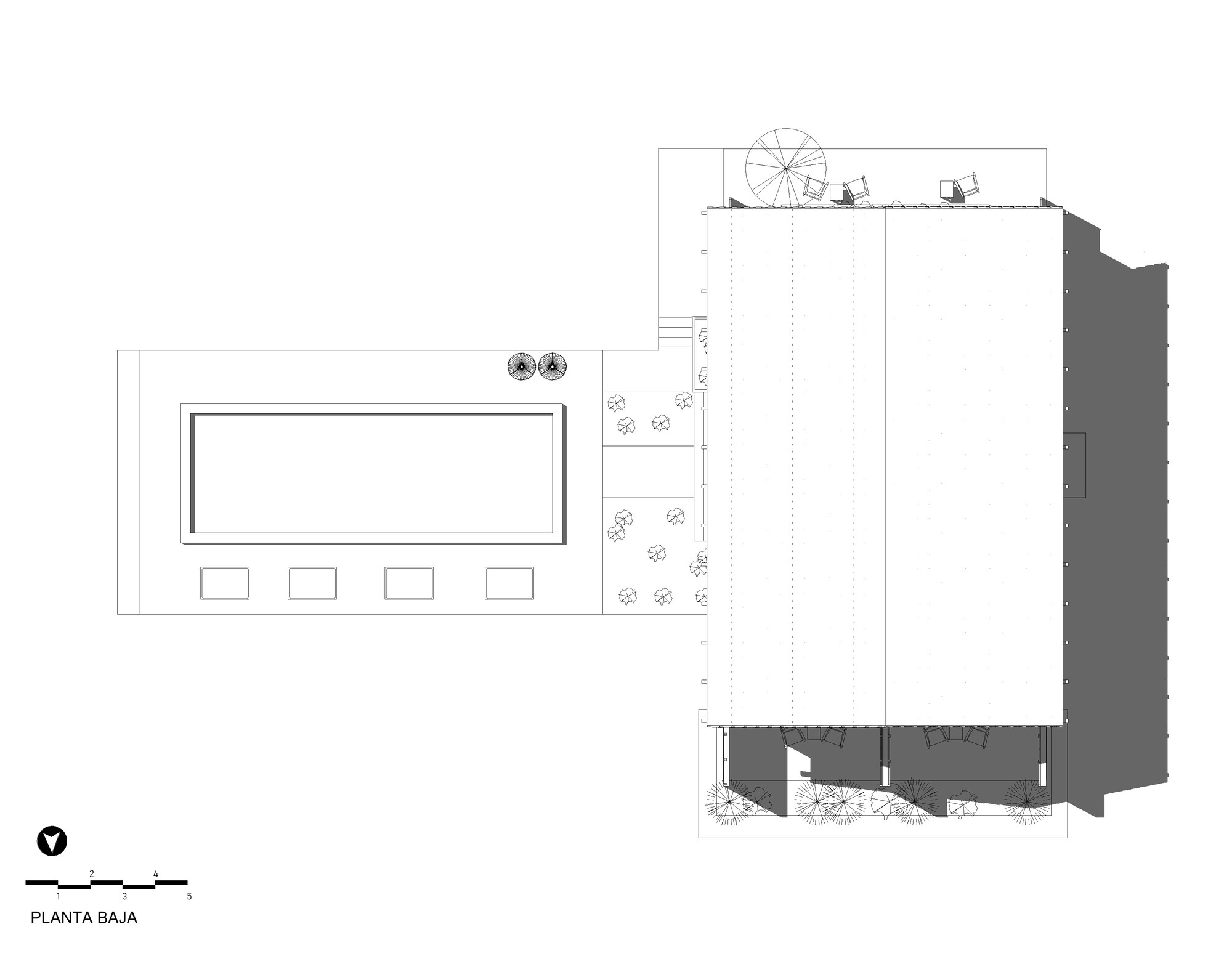 中村屋丨墨西哥丨Fausto Terán,Toro-44
