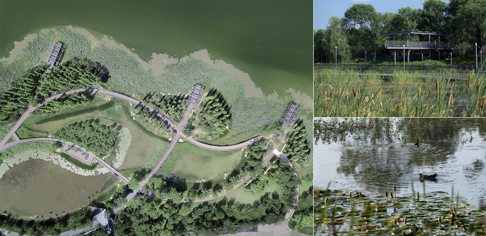 四川南滨江公园景观设计丨中国遂宁丨易兰规划设计院+四川省建筑设计研究院有限公司-45