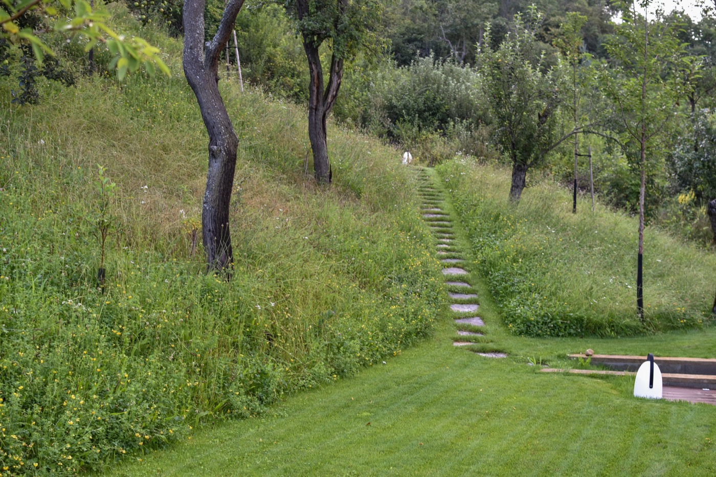 绿色和谐的坡地住宅花园设计丨捷克丨Tomáš Beránek-29