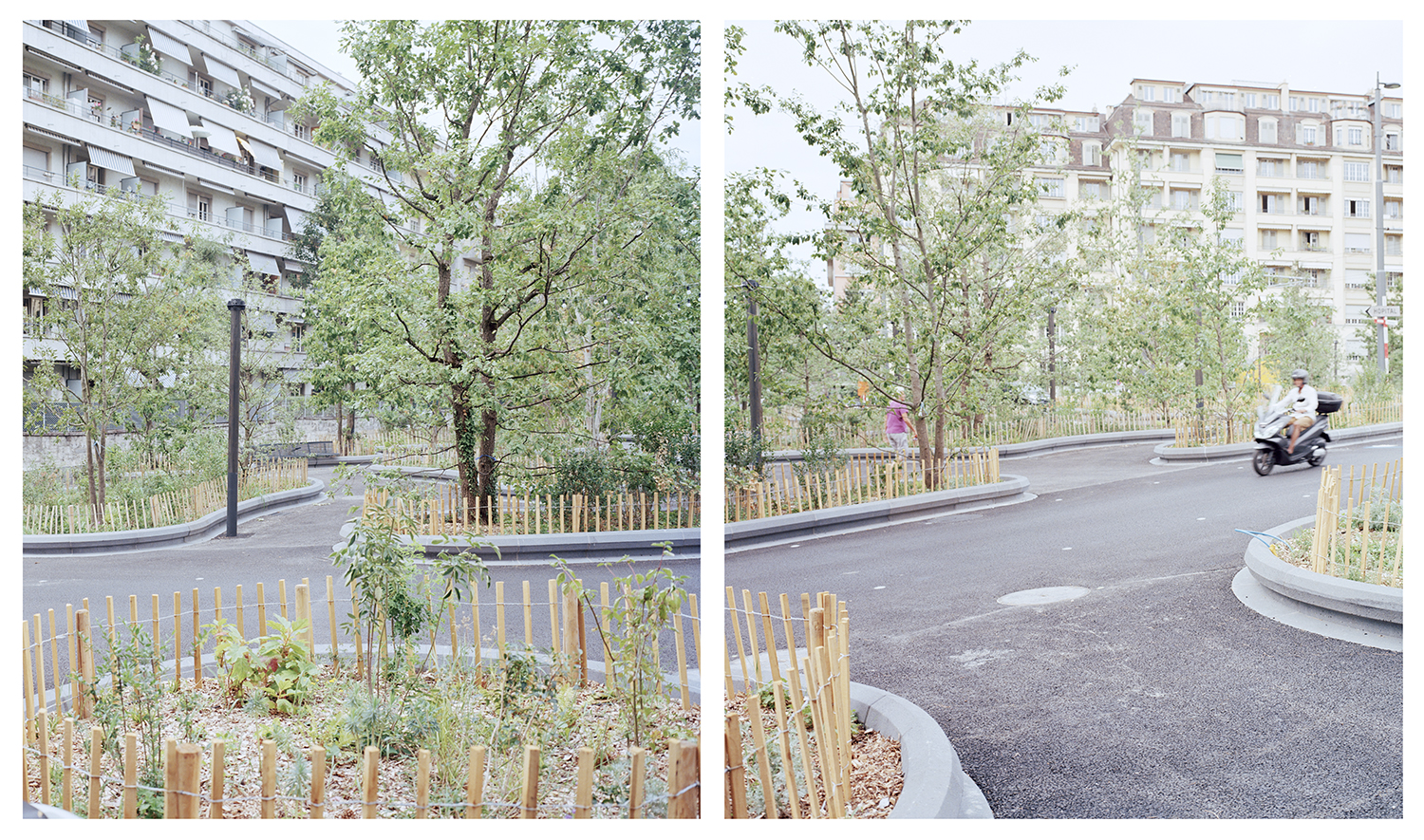 7000 Oaks 与城市生态共生的艺术设计-21