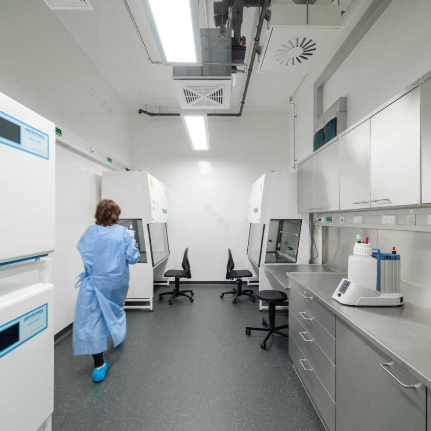 黑 façade 的集成感染疾病研究中心(CIID)-14