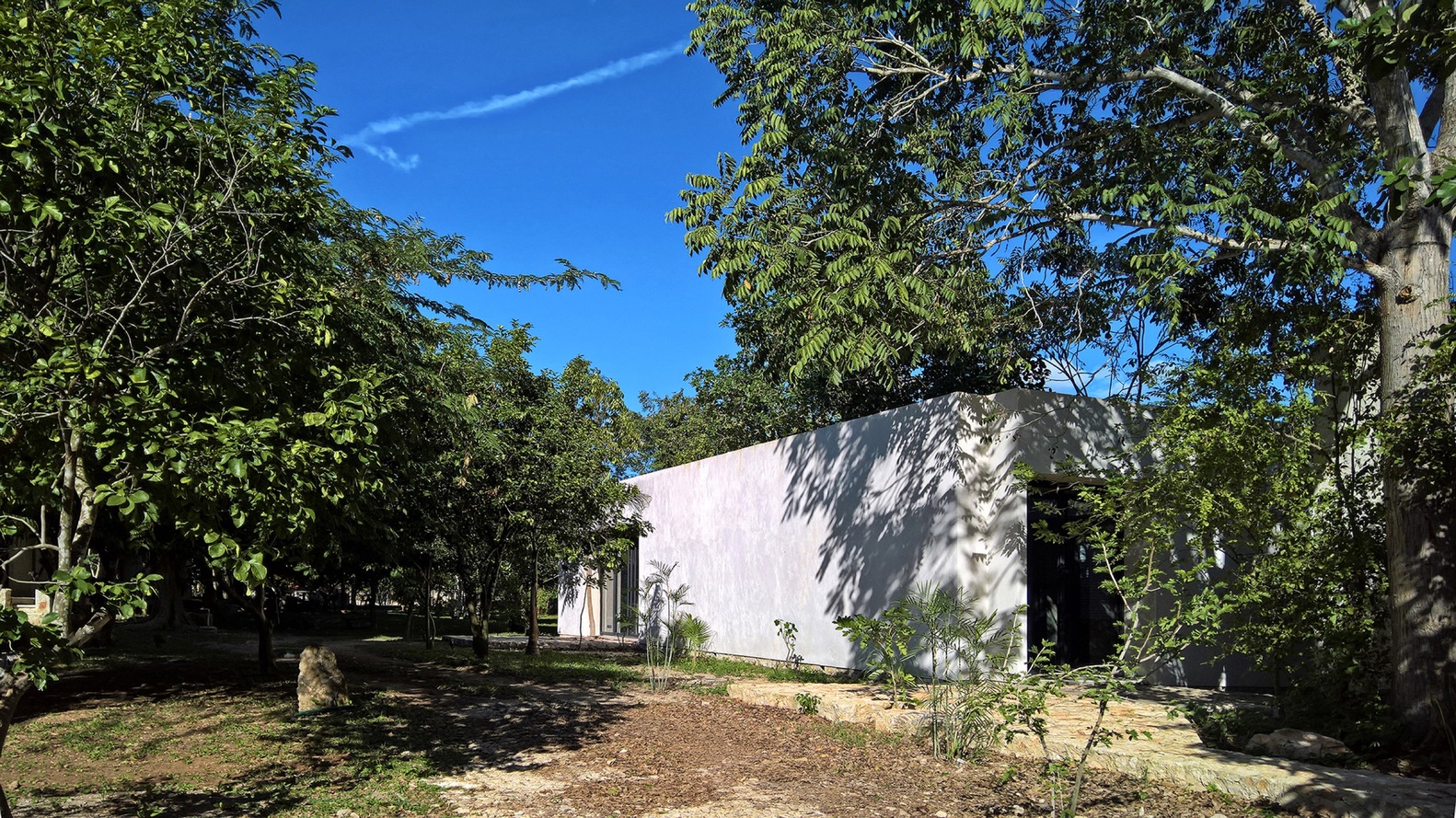 隐秘庭院 · 绿色核心的家庭住宅-30