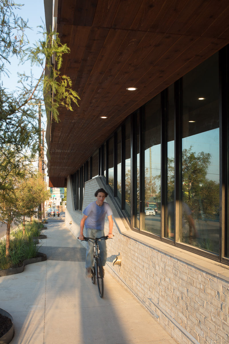 Bluebonnet 工作室-10