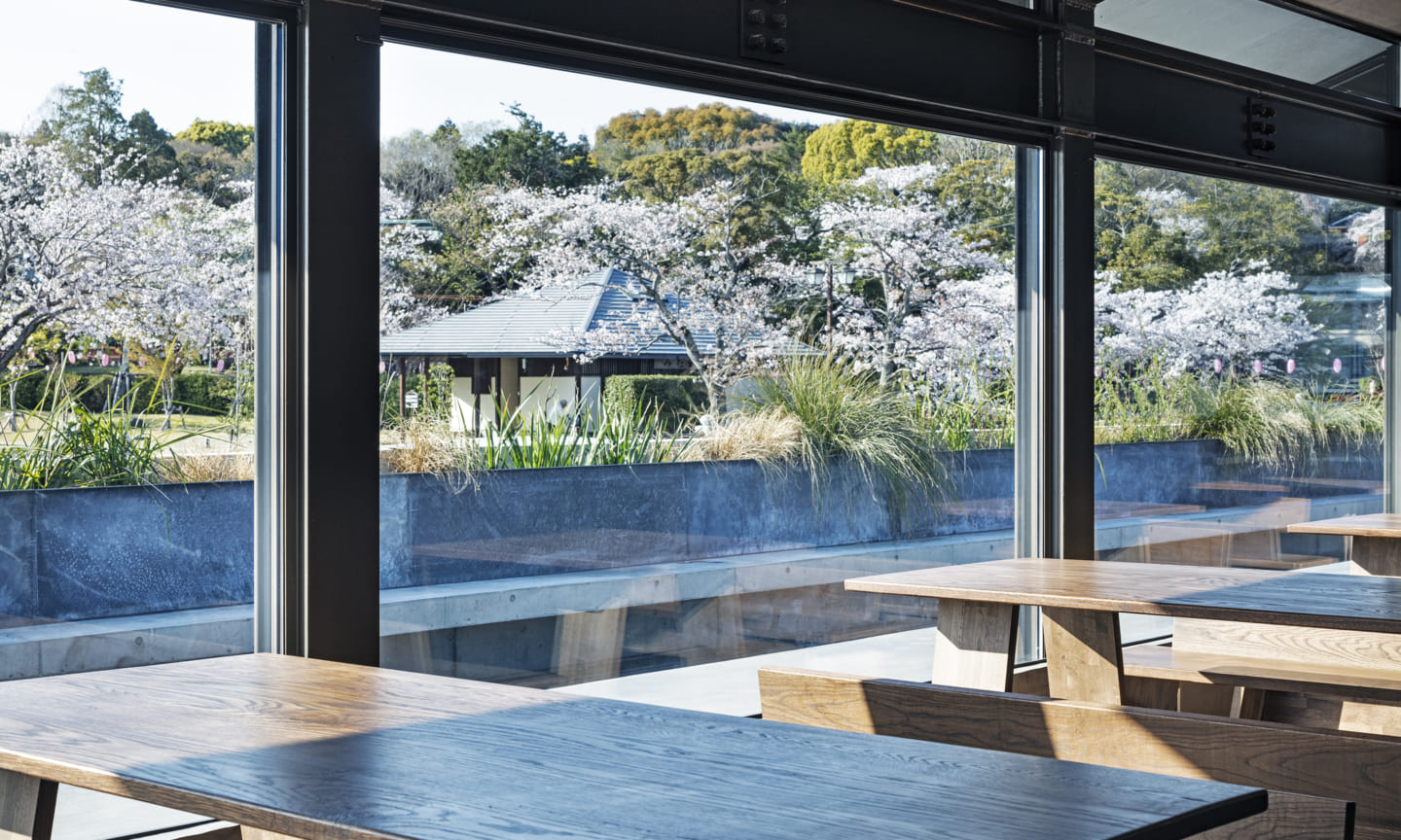 Mt Fuji Brewing  Suppose Design-19