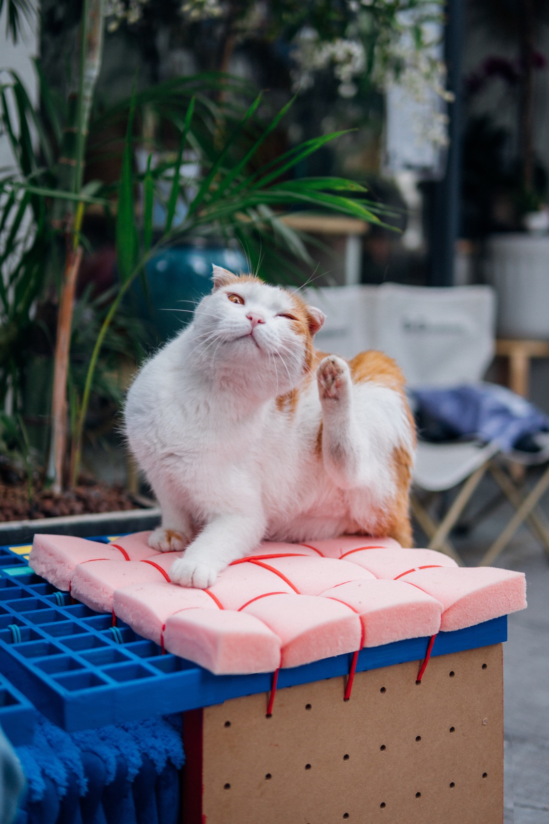 转接头丨中国深圳丨梓集fabersociety-97