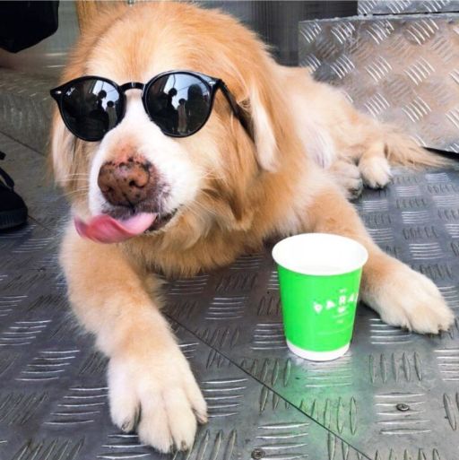 PARAS Coffee | 工业风中的美学空间-78