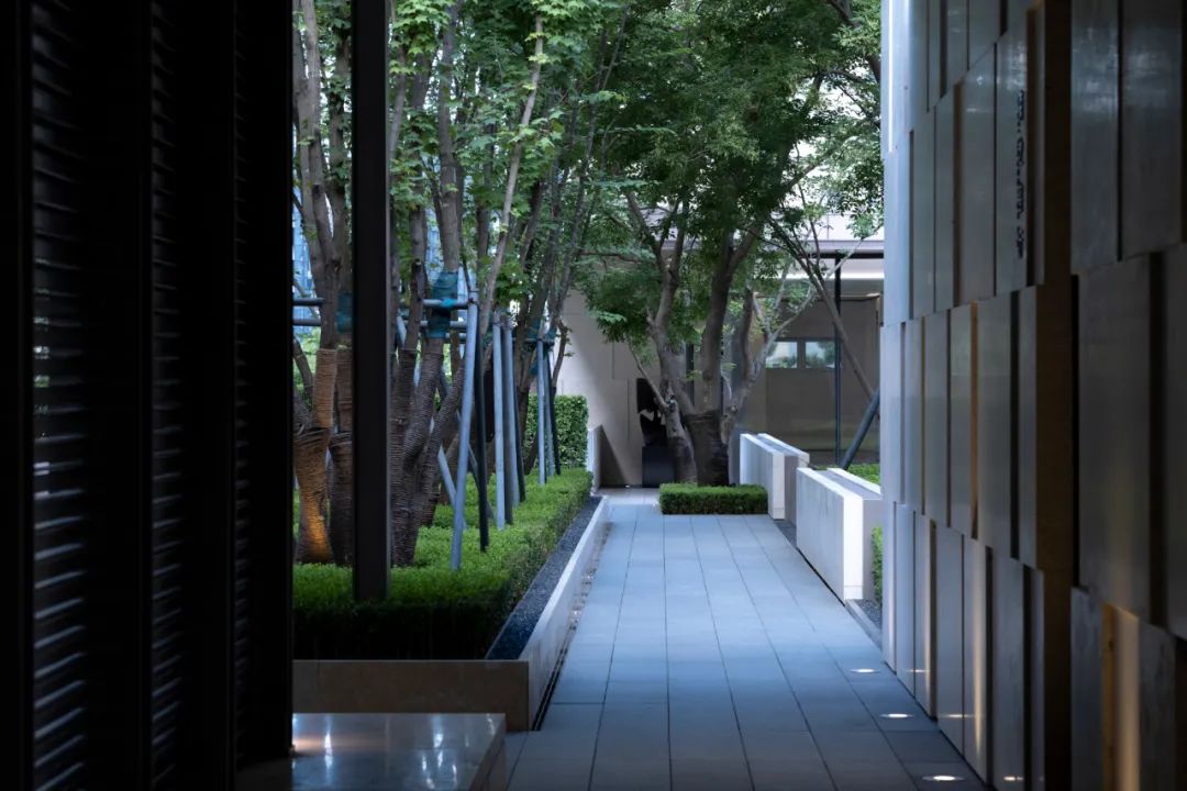 傍山森居 · 自然里流动的优雅 | 大连亿达·青云天下首开区-57